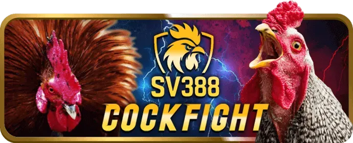 Bảo mật thông tin sv368